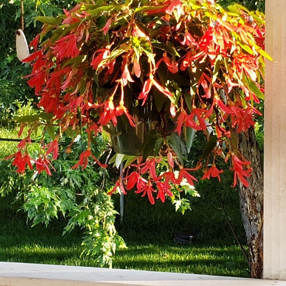 Meet your Posher, Ruthanne